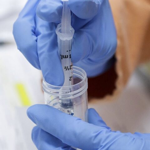 La OMS advirtió que las vacunas “no erradicarán el coronavirus” hasta que no se sepa cómo se transmite La OMS advirtió que las vacunas “no erradicarán el coronavirus” hasta que no se sepa cómo se transmite