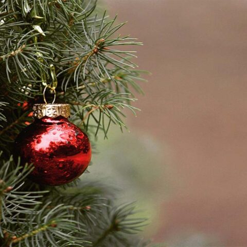 En navidad adornemos nuestro hogar de forma natural