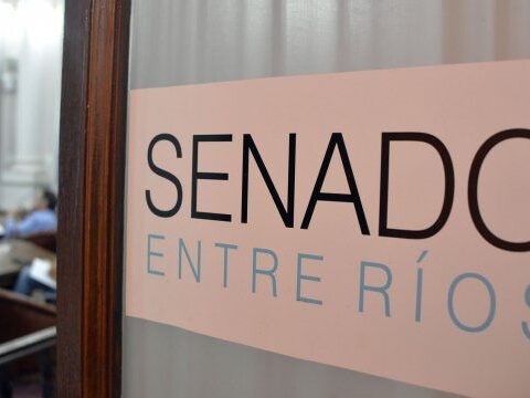 El Senado avanzó con el trabajo en comisión