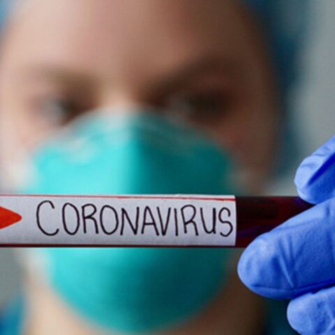 Este martes se registraron 260 nuevos casos de coronavirus en Entre Ríos Este martes se registraron 260 nuevos casos de coronavirus en Entre Ríos