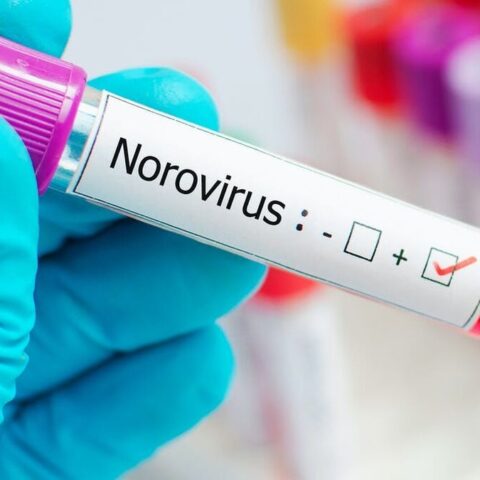 Alerta mundial por un brote de “norovirus” en China