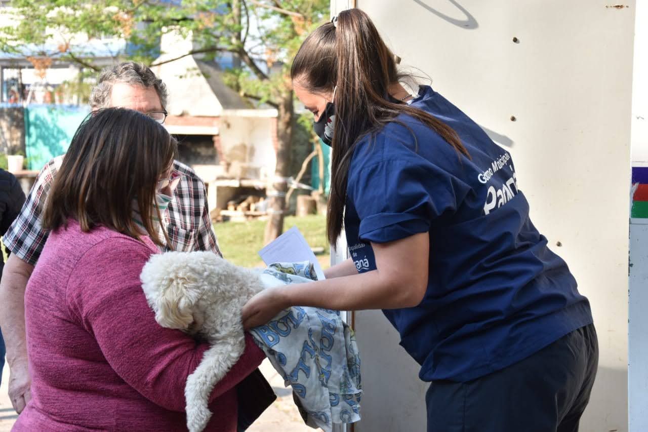 Este año el Municipio realizó 7.500 castraciones gratuitas de mascotas