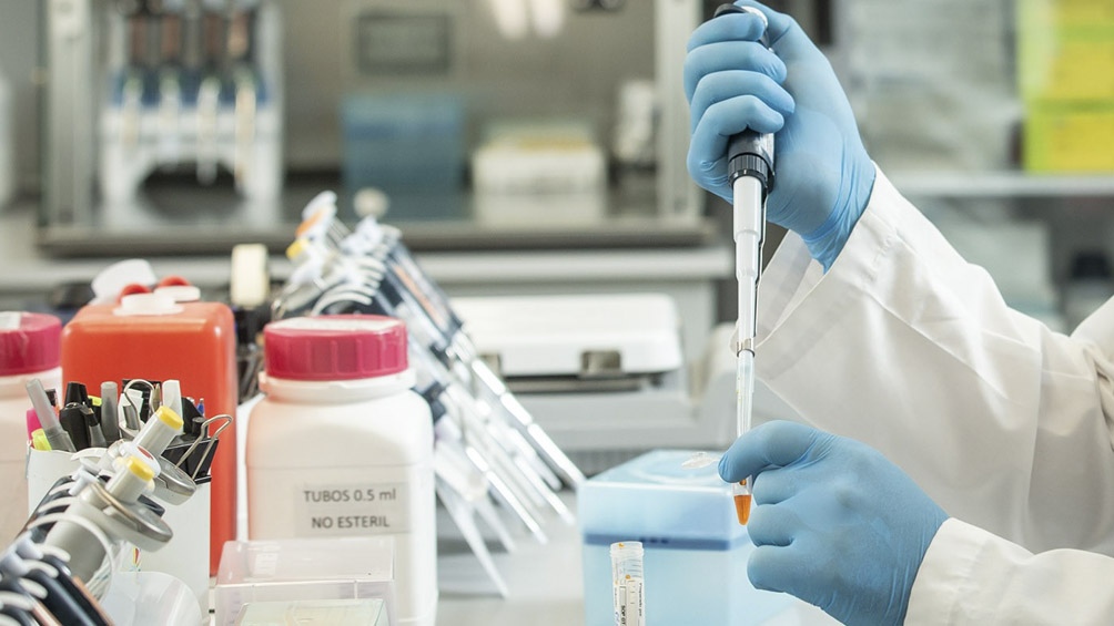 Comienza la distribución del suero equino hiperinmune desarrollado en Argentina