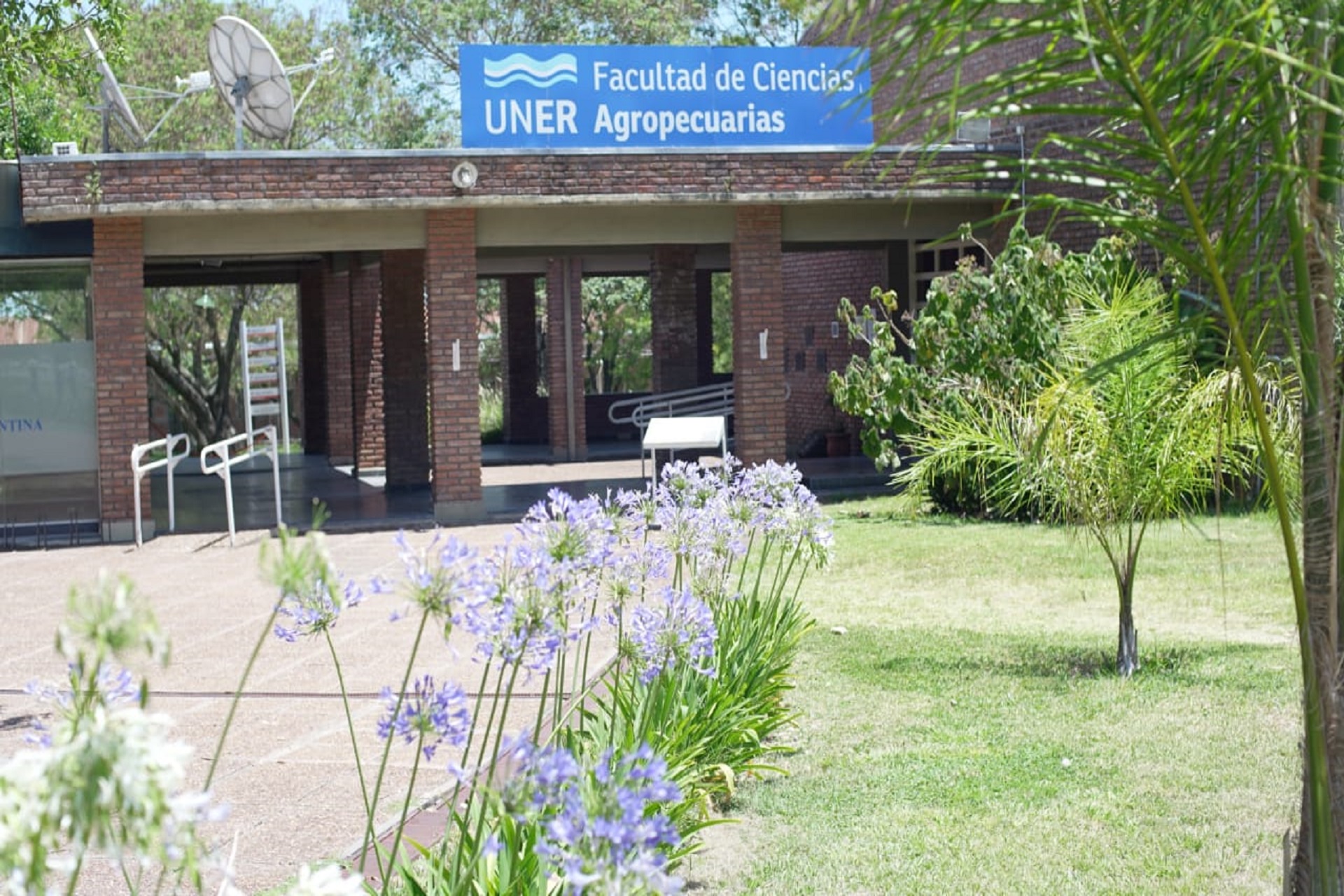 La provincia potenciará el arbolado urbano a través de un programa interinstitucional La provincia potenciará el arbolado urbano a través de un programa interinstitucional