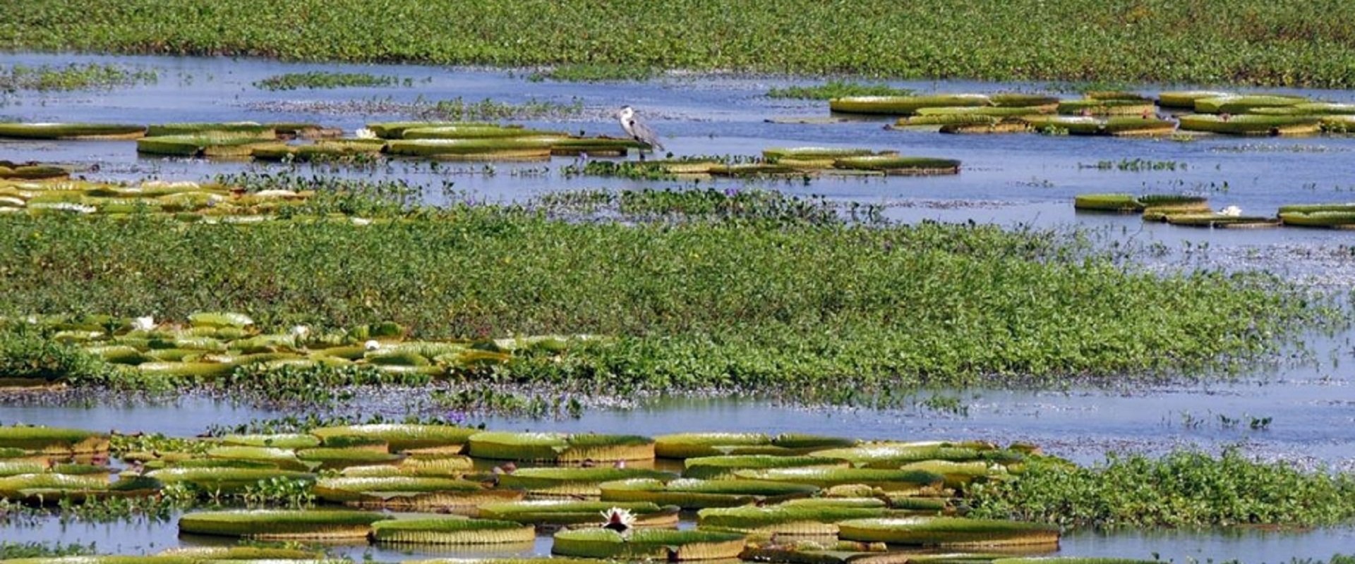 Continúan las ayudas económicas para el sector turístico Continúan las ayudas económicas para el sector turístico
