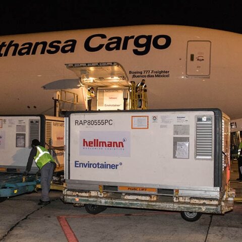 Llegaron 1,2 millones de dosis de Sinopharm y AstraZeneca Llegaron 1,2 millones de dosis de Sinopharm y AstraZeneca