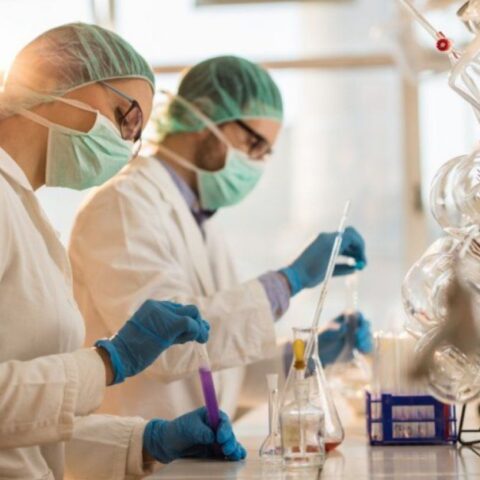 La OMS probará tres nuevas drogas para coronavirus y Argentina participará de los ensayos La OMS probará tres nuevas drogas para coronavirus y Argentina participará de los ensayos