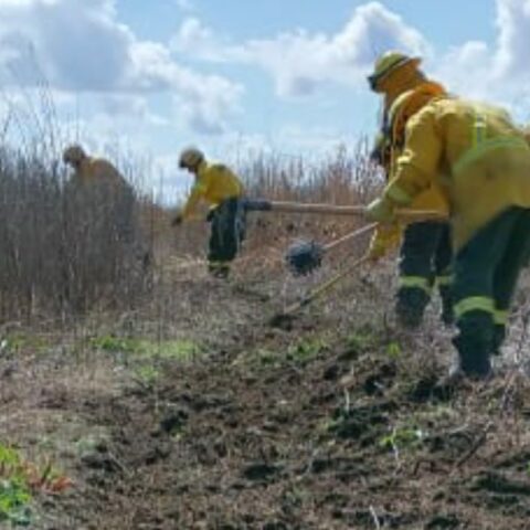 Quedó controlado el foco de incendio en islas del Delta