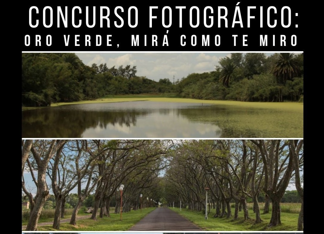 Concurso Fotográfico Que Premiará Las Miradas Sobre Oro Verde