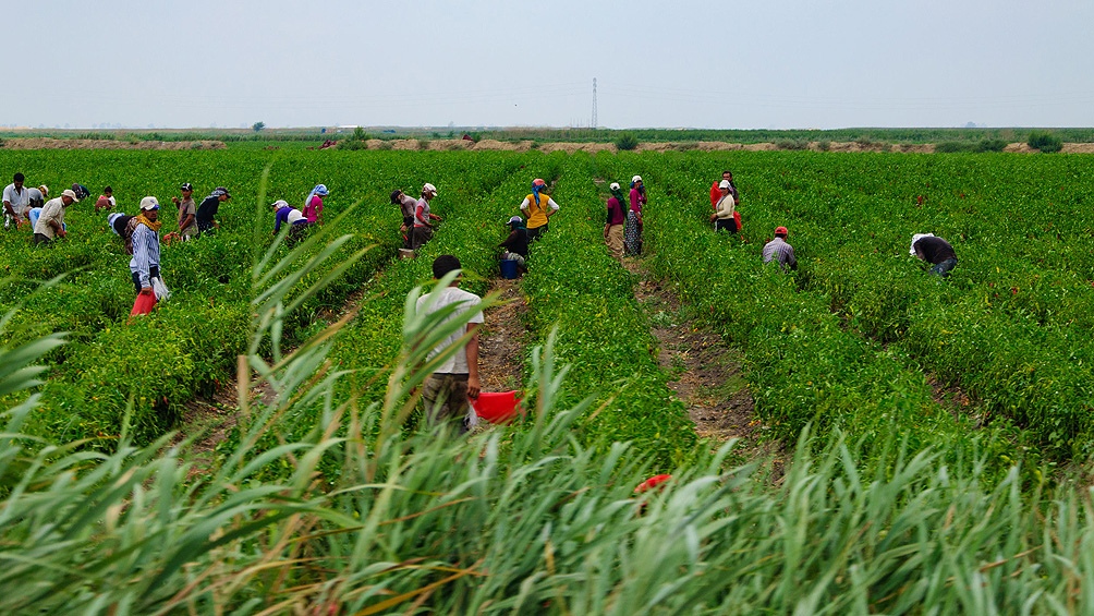 El Gobierno busca restablecer un vínculo positivo con el campo mediante anuncios claves para el sector El Gobierno busca restablecer un vínculo positivo con el campo mediante anuncios claves para el sector