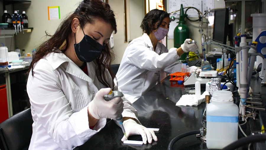 Avanzan los cuatro desarrollos nacionales de vacunas contra el coronavirus Avanzan los cuatro desarrollos nacionales de vacunas contra el coronavirus