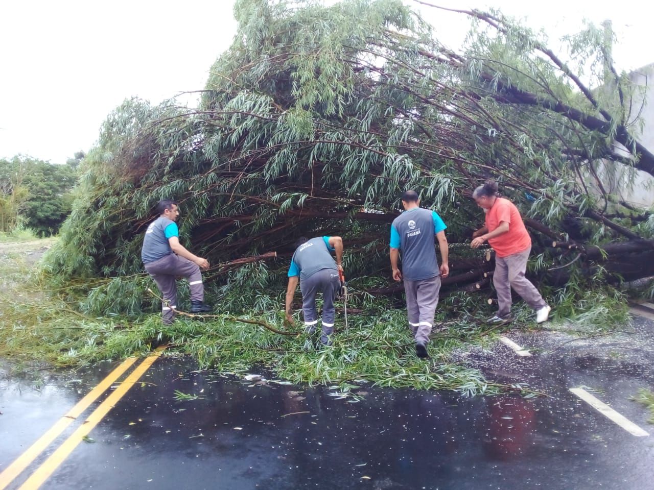 El Municipio actuó ante los daños causados por la lluvia