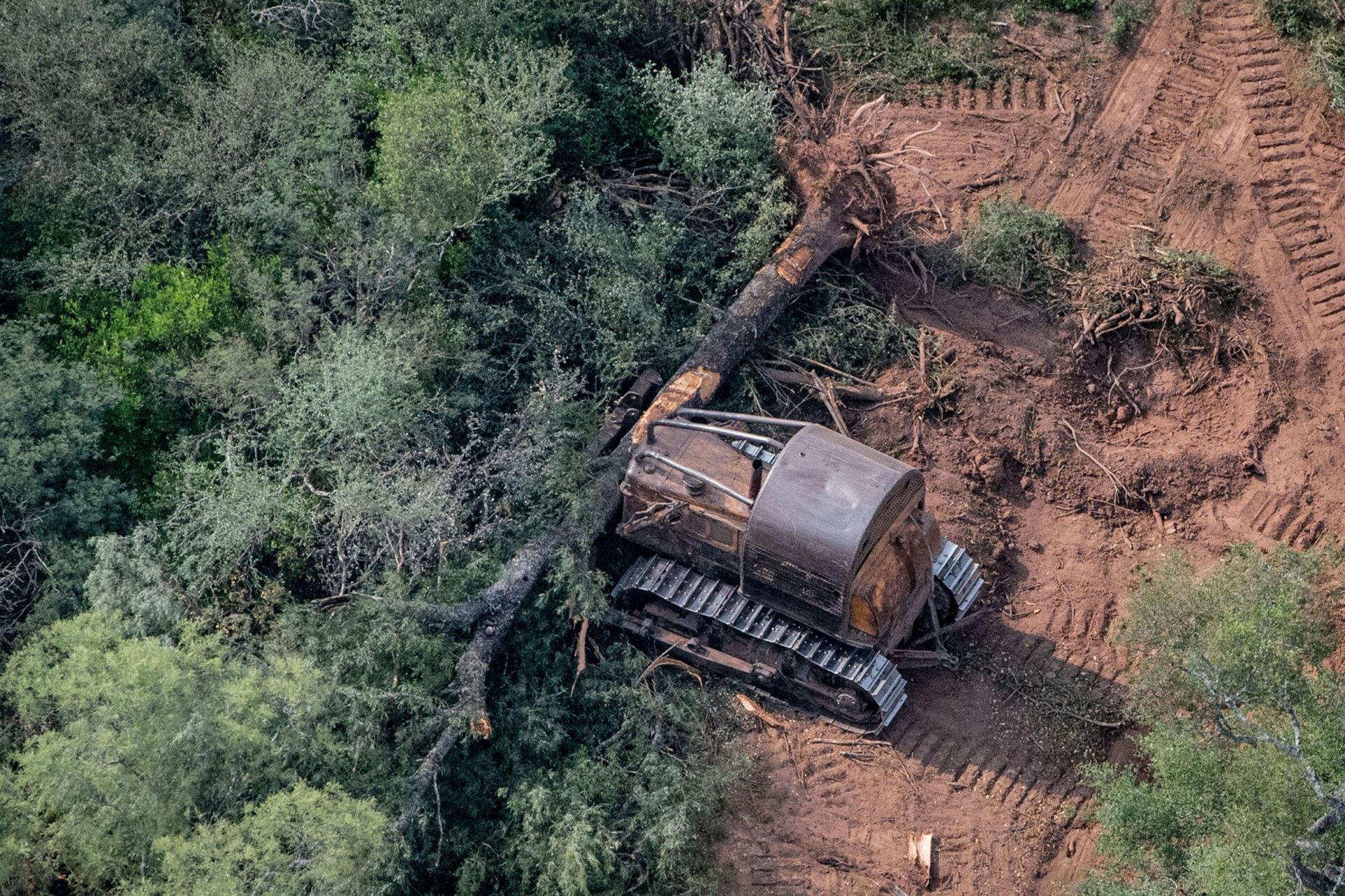Siguen los desmontes de bosques nativos en Chaco a pesar del fallo judicial Siguen los desmontes de bosques nativos en Chaco a pesar del fallo judicial