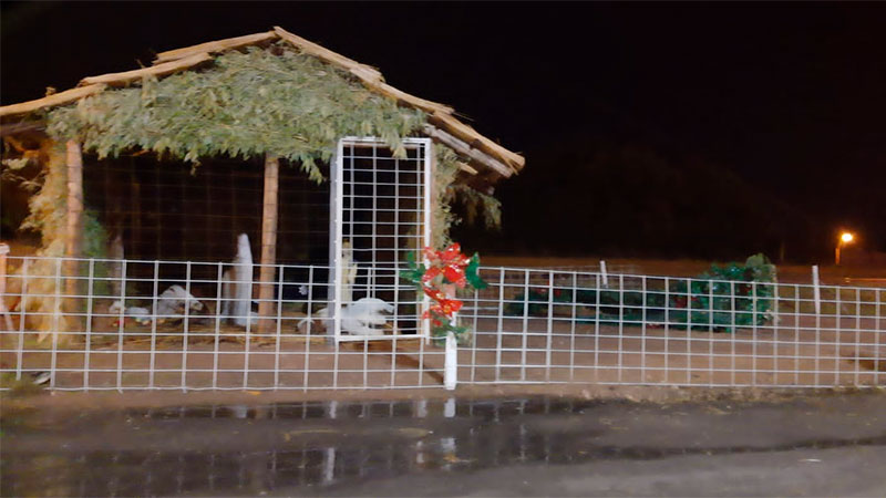 Por la tormenta hubo voladuras de techos y caída de árboles en varias localidades