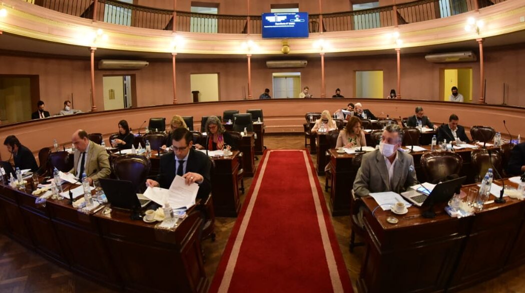 Balance de año: La salud en la agenda de Diputados del 2021 Balance de año: La salud en la agenda de Diputados del 2021