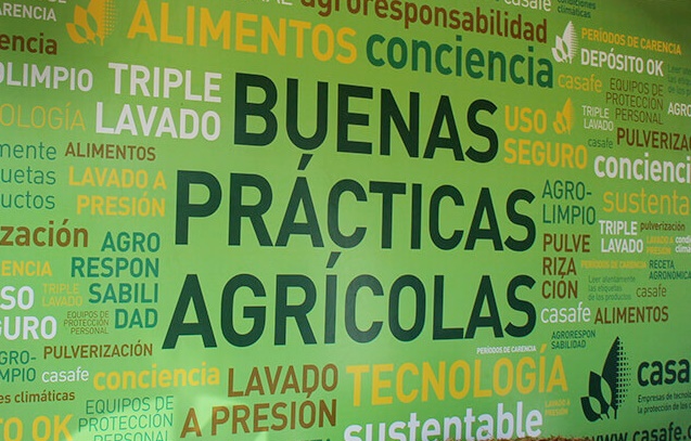“Le dimos al campo la voz que le faltaba”
