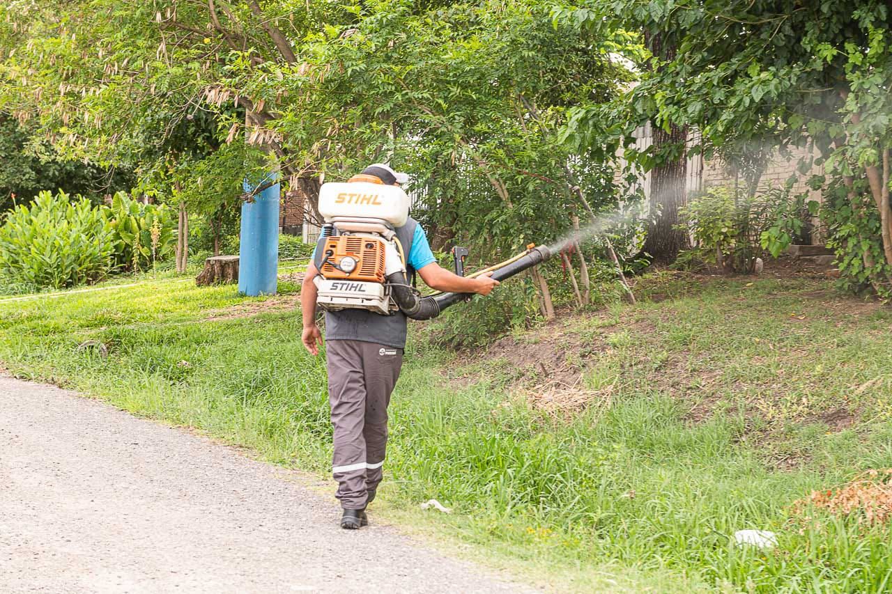 Continúan los operativos de fumigación contra mosquitos Continúan los operativos de fumigación contra mosquitos