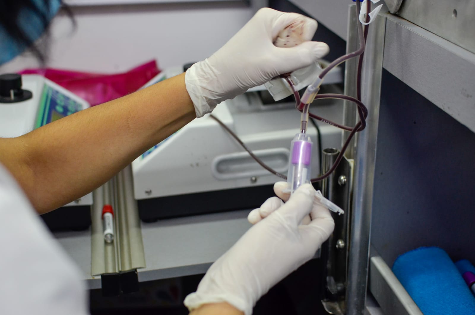 Se registró una marca histórica de donantes argentinos de médula ósea