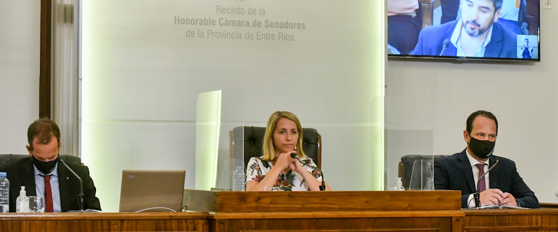 La creación del Colegio de Profesionales de Educación Física es ley en Entre Ríos La creación del Colegio de Profesionales de Educación Física es ley en Entre Ríos