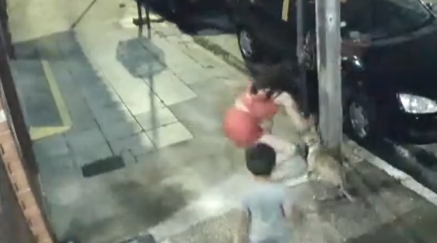 Una mujer ató su perro a un poste en la noche Navidad y lo abandonó