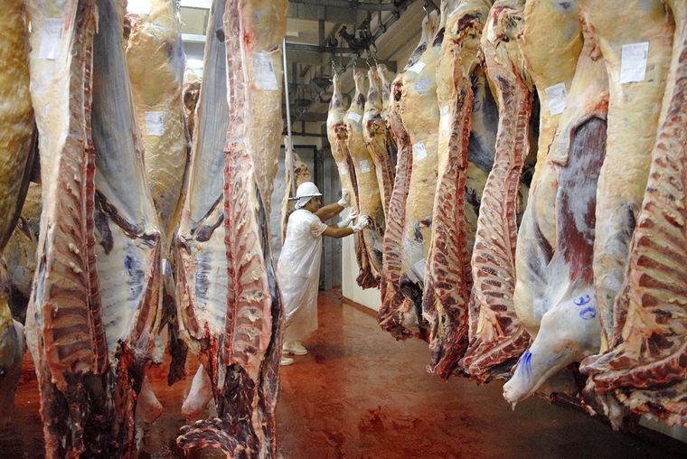 Instrumentan la suspensión de exportaciones a los cortes de carnes más consumidos Instrumentan la suspensión de exportaciones a los cortes de carnes más consumidos
