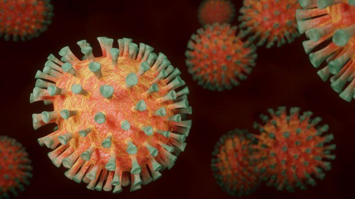 Alarma por la aparición de IHU, la nueva variante de Covid-19 que ya tiene más mutaciones que Ómicron Alarma por la aparición de IHU, la nueva variante de Covid-19 que ya tiene más mutaciones que Ómicron