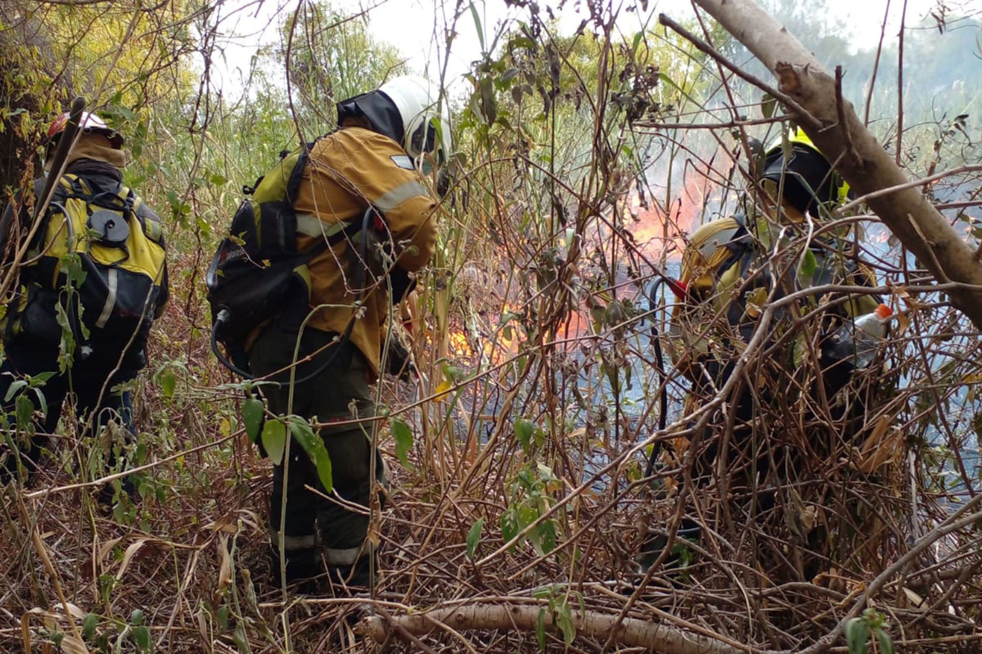 Trabajan intensamente para combatir los incendios en la isla Puente de Paraná