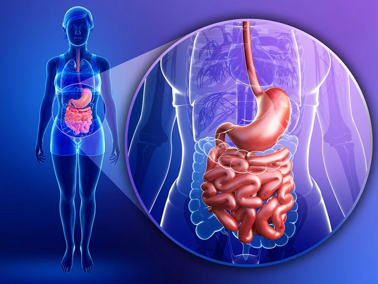 ¿Cuáles son los síntomas que provoca el coronavirus en el sistema digestivo?