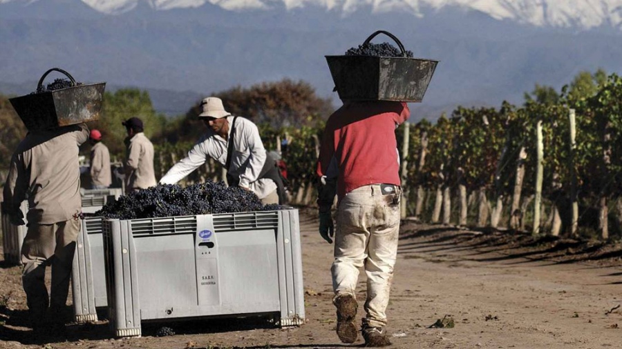 Rescatan a 40 trabajadores golondrinas que eran explotados como esclavos Rescatan a 40 trabajadores golondrinas que eran explotados como esclavos