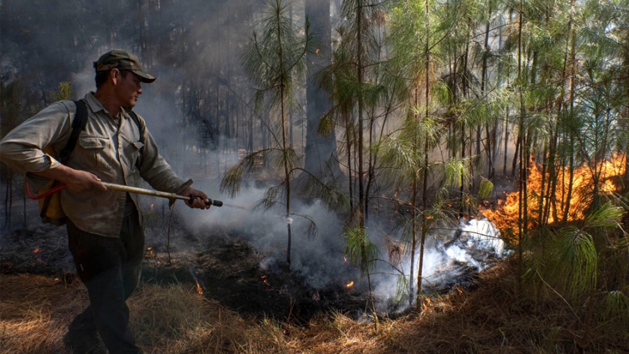 Disminuyeron los focos de incendios en Corrientes, tras la llegada de la lluvia