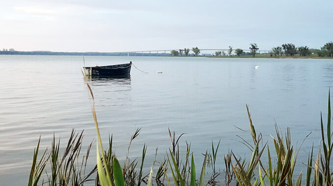 Pedido de informes sobre la calidad del agua del río Uruguay