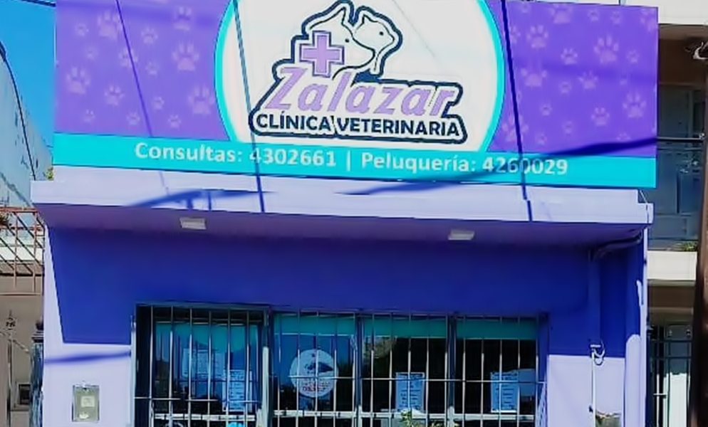 Entre Ríos tiene su primera Clínica Veterinaria con una sala de espera Cat Friendly