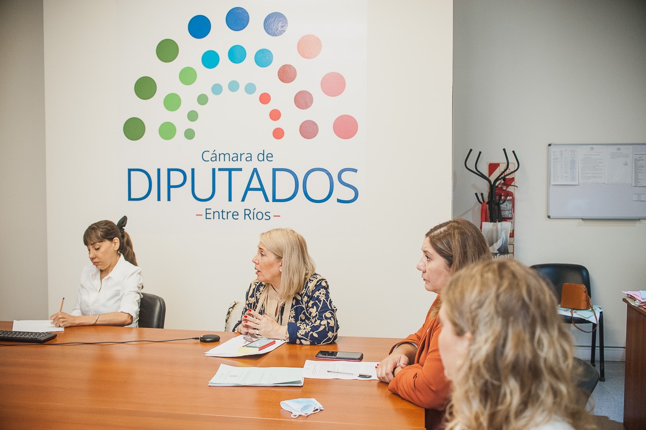Diputados trató en comisiones el proyecto de ley de endometriosis