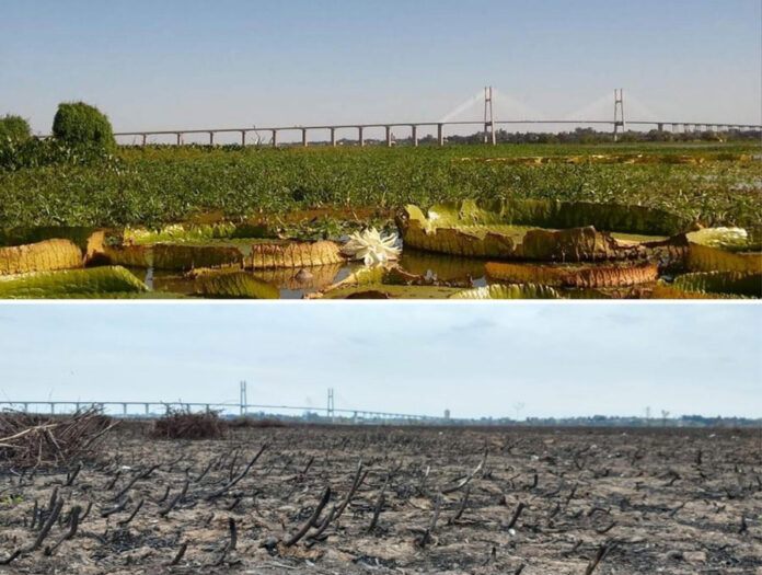Proponen educación en materia de cambio climático en las escuelas entrerrianas Proponen educación en materia de cambio climático en las escuelas entrerrianas