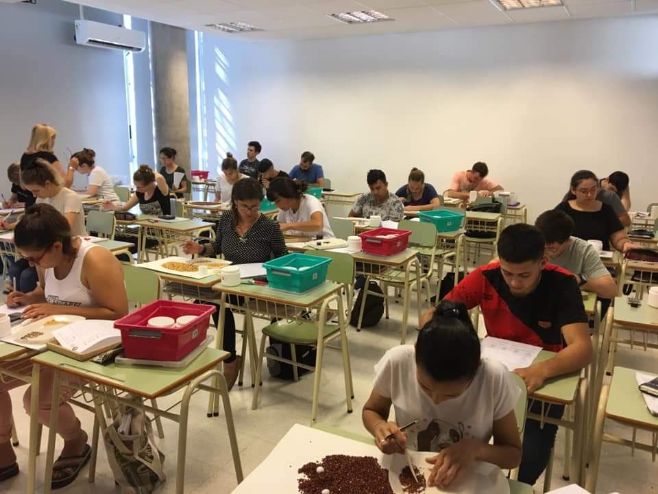 Curso de Perito en Cereales Curso de Perito en Cereales