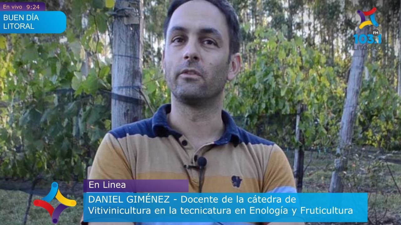 La carrera que permite descubrir los secretos del vino despierta cada vez más interés La carrera que permite descubrir los secretos del vino despierta cada vez más interés