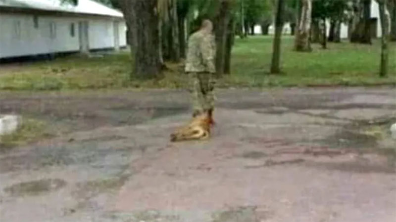 Militar argentino golpeó a un perro hasta matarlo en un cuartel del ejercito Militar argentino golpeó a un perro hasta matarlo en un cuartel del ejercito