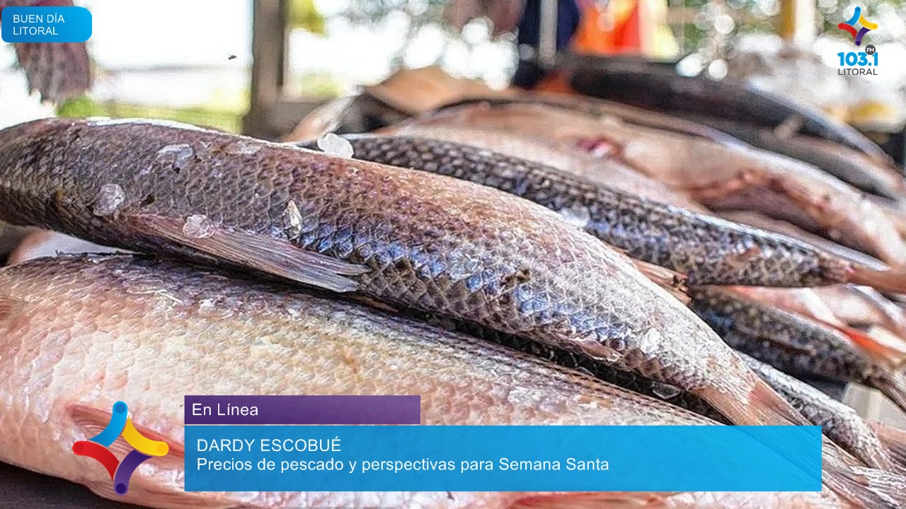 Por la bajante del río hay poca variedad de pescado y los precios han aumentado Por la bajante del río hay poca variedad de pescado y los precios han aumentado