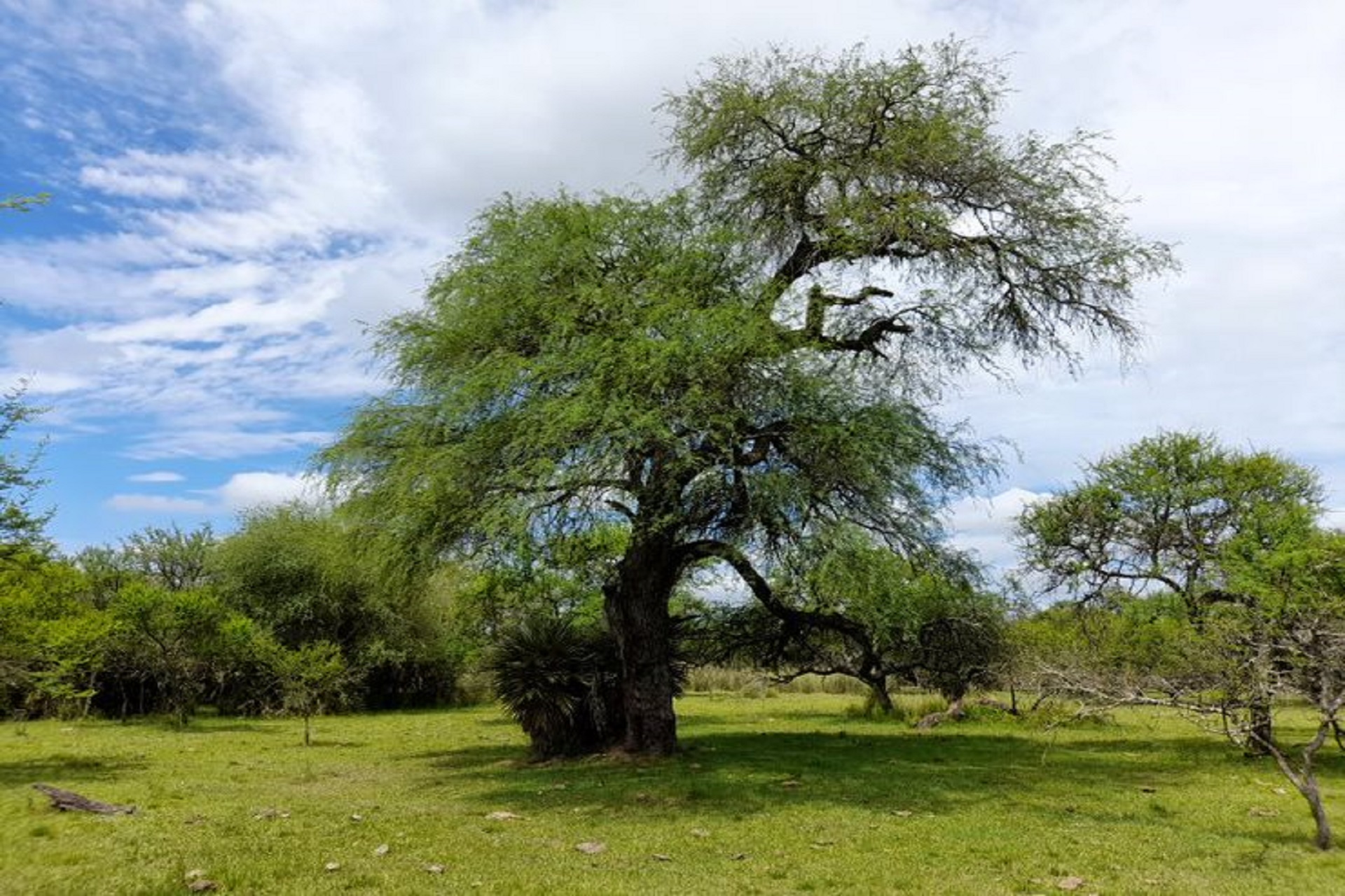 Entre Ríos trabaja en la preservación de sus ecosistemas Entre Ríos trabaja en la preservación de sus ecosistemas
