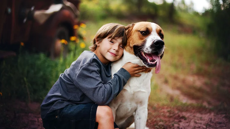 Día del Animal: ¿por qué se celebra hoy en la Argentina?