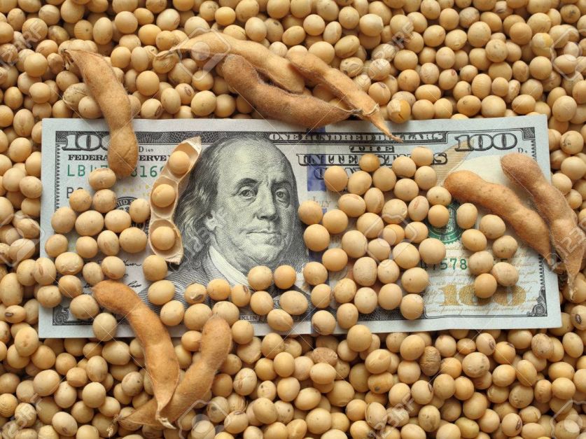 Empiezan a ingresar los dólares de la soja y abril cerraría por arriba de u$s3.000 millones Empiezan a ingresar los dólares de la soja y abril cerraría por arriba de u$s3.000 millones