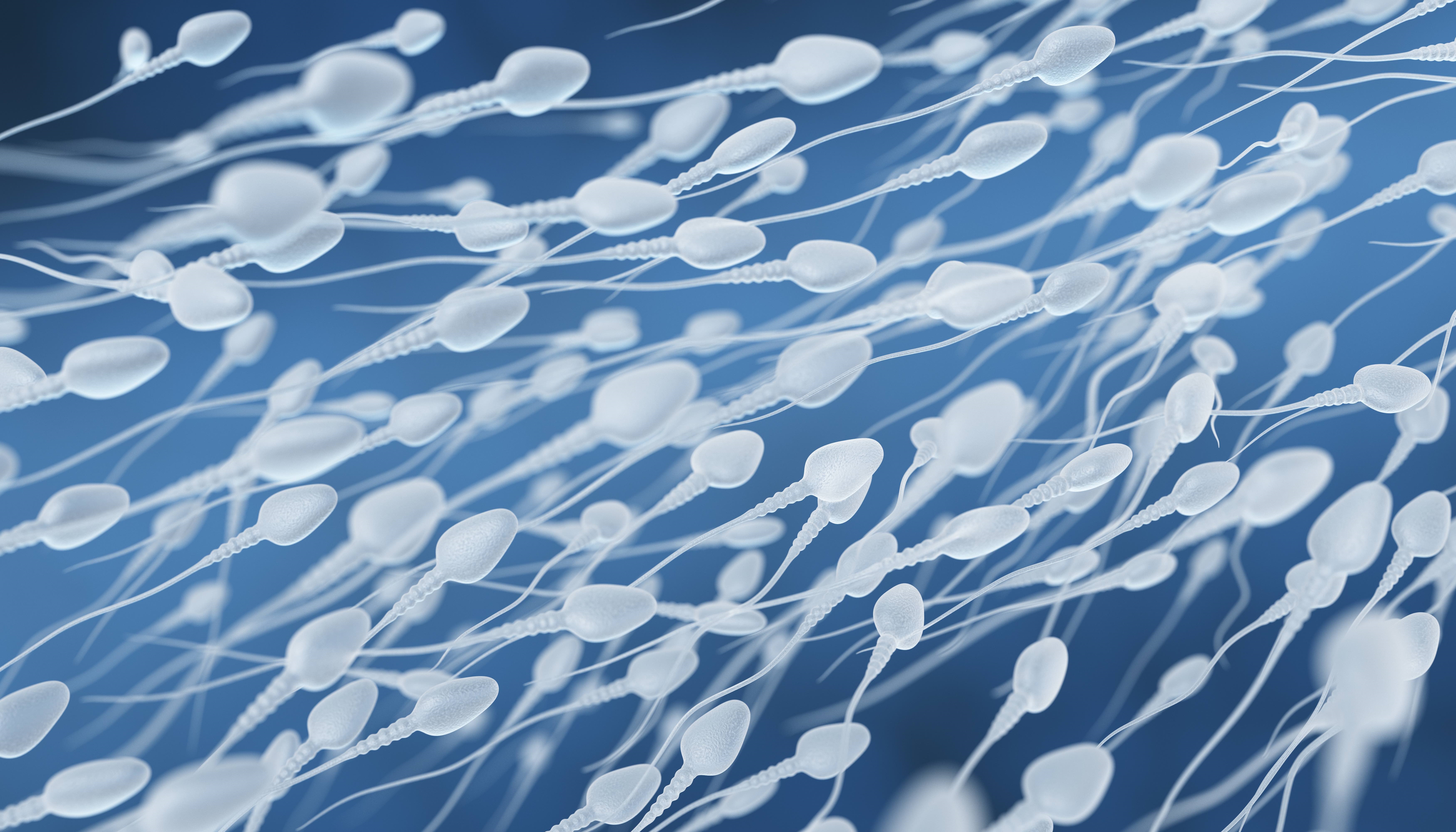 Los hombres recuperados de COVID-19 tenían un recuento y una movilidad de esperma significativamente reducidos, así como menos espermatozoides de forma normal