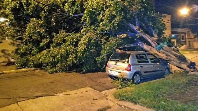 La tormenta dejó árboles y postes caídos y techos dañados en Paraná