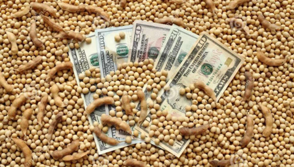 Dólares: proyectan superávit comercial de u$s14.100 millones este año Dólares: proyectan superávit comercial de u$s14.100 millones este año
