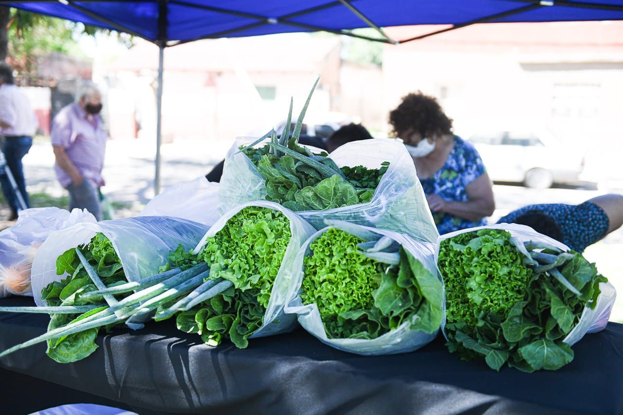 Este domingo habrá una feria agroecológica en el Parque Gazzano de Paraná Este domingo habrá una feria agroecológica en el Parque Gazzano de Paraná