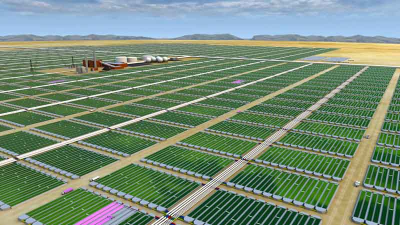 Bordet participará de la misión a Israel para introducir tecnologías de riego en la producción Bordet participará de la misión a Israel para introducir tecnologías de riego en la producción
