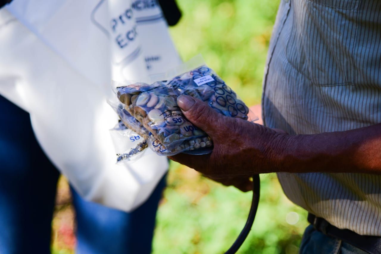 Entregan semillas del Pro Huerta para la temporada otoño – invierno Entregan semillas del Pro Huerta para la temporada otoño – invierno