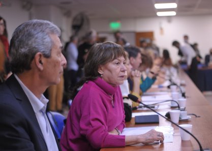 Osuna presidirá la Comisión de Educación de la Cámara de Diputados de la Nación
