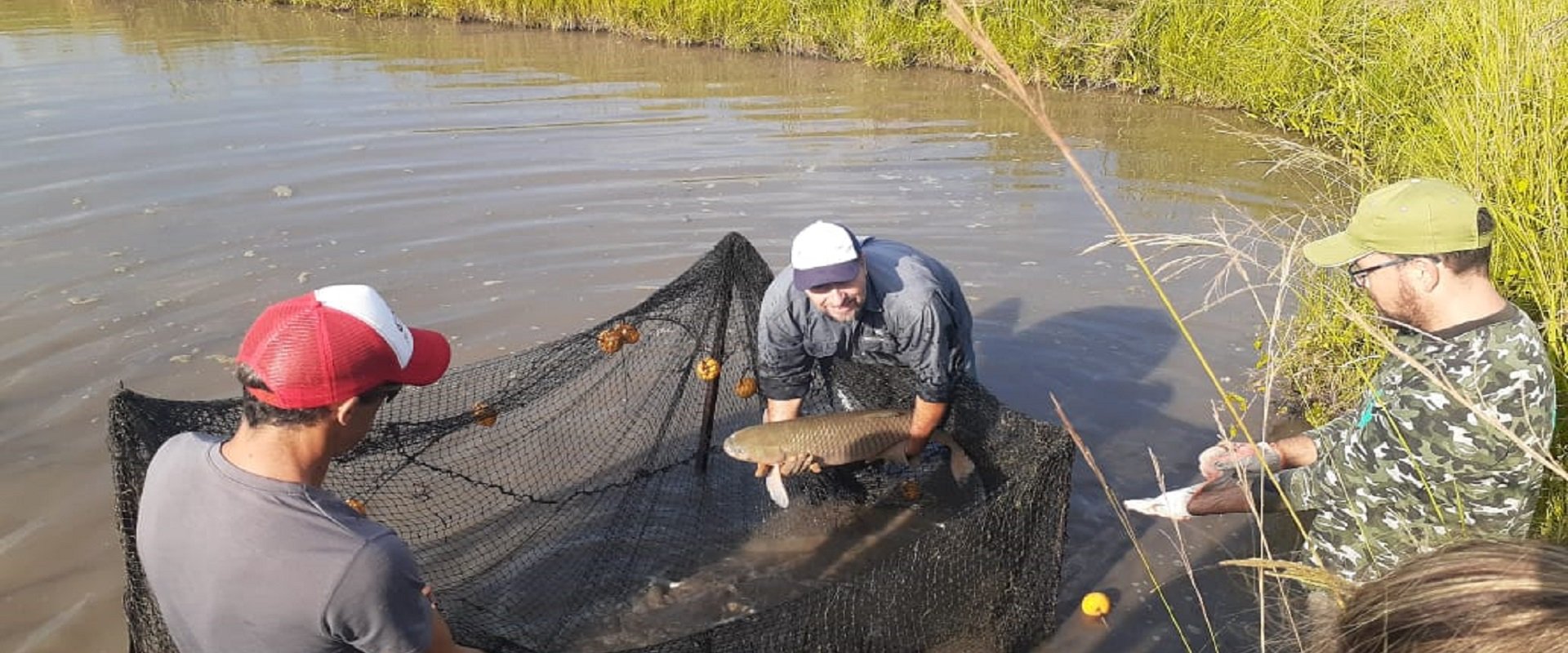 Prorrogan la veda parcial para la pesca comercial y acopio de pescado Prorrogan la veda parcial para la pesca comercial y acopio de pescado