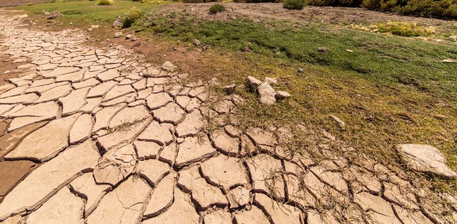 Proyecto de ley para la Capacitación en Materia de Cambio Climático